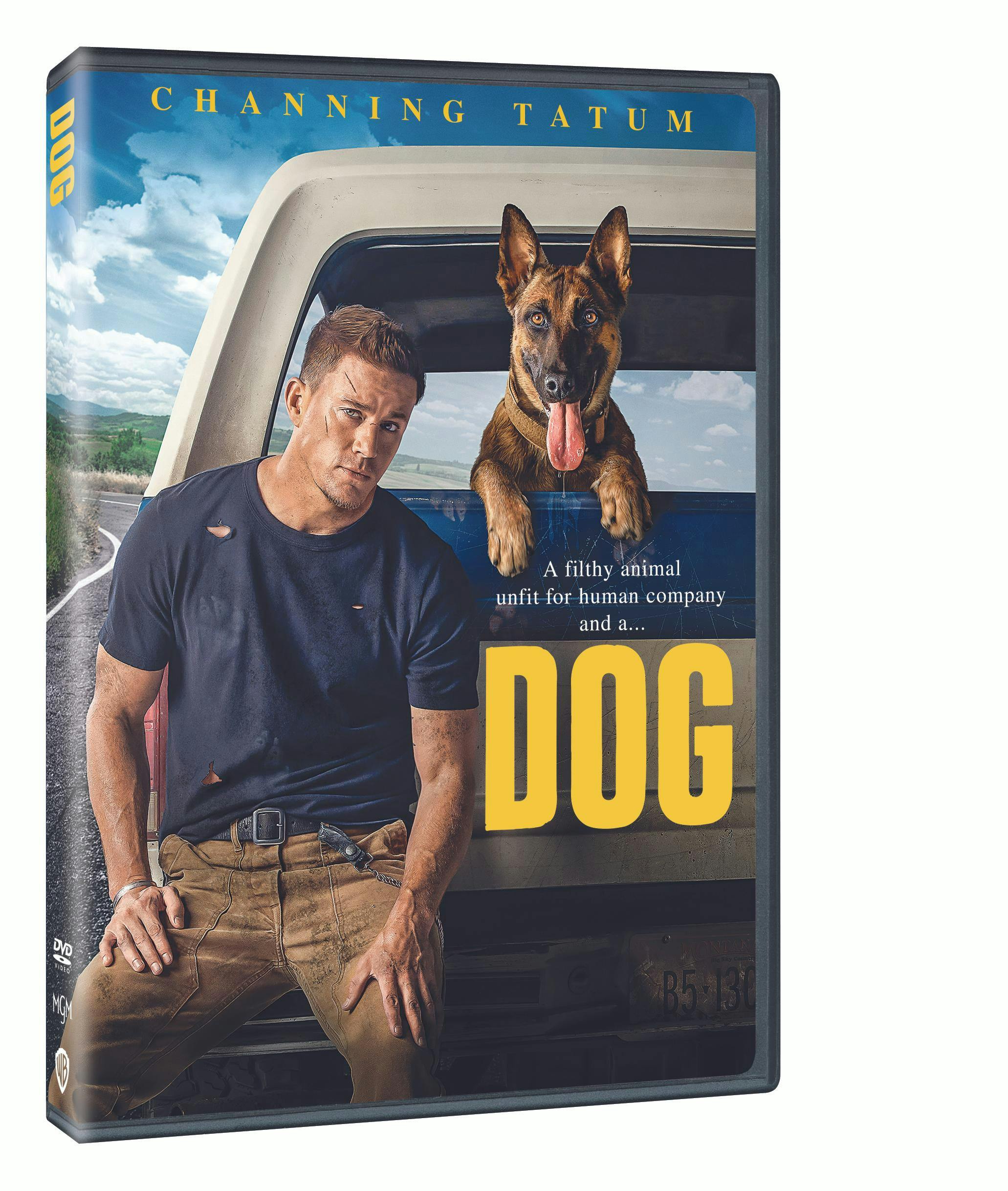 Dog [DVD] - Image 2