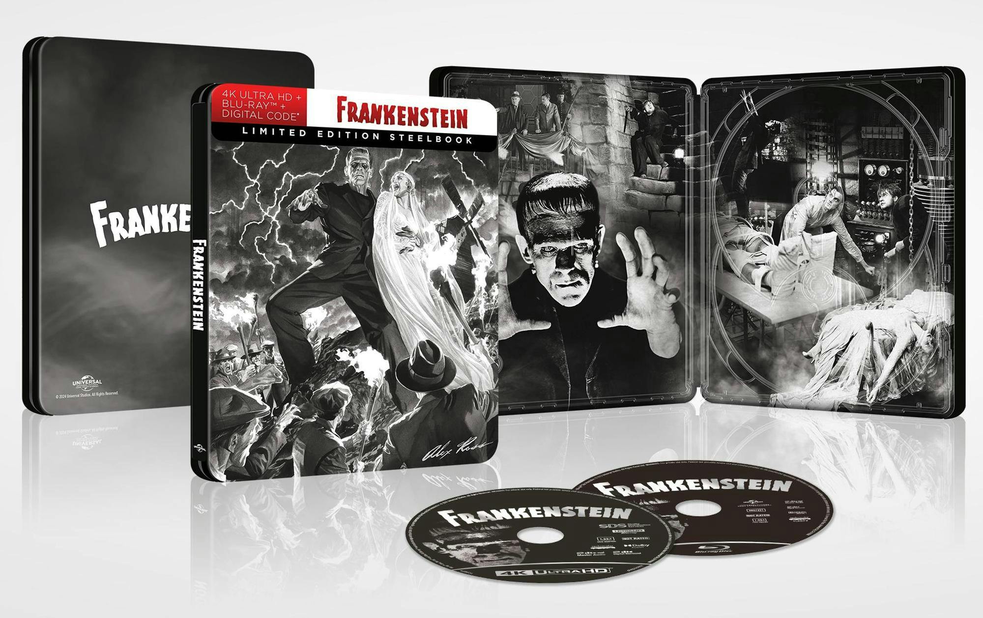 Frankenstein (Limited Edition 4K Ultra HD Steelbook + Blu-ray + Digital) [UHD] - Image 4