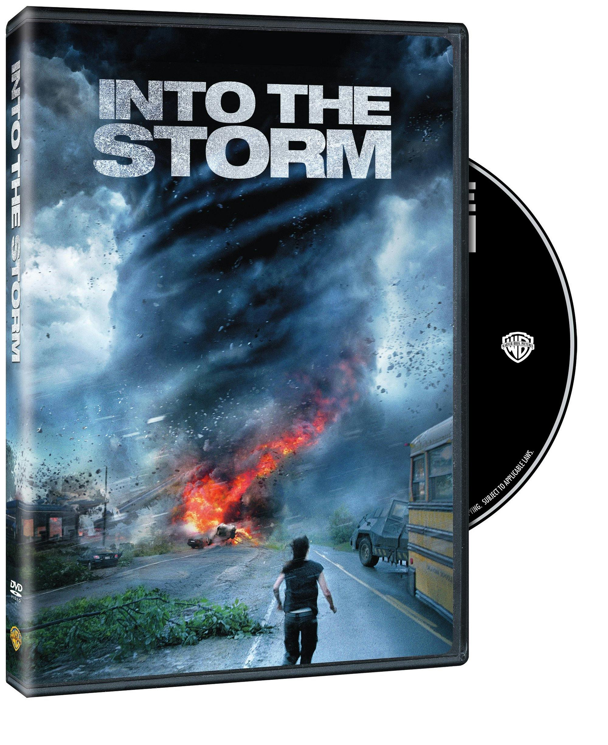 Into The Storm [DVD] - Image 2
