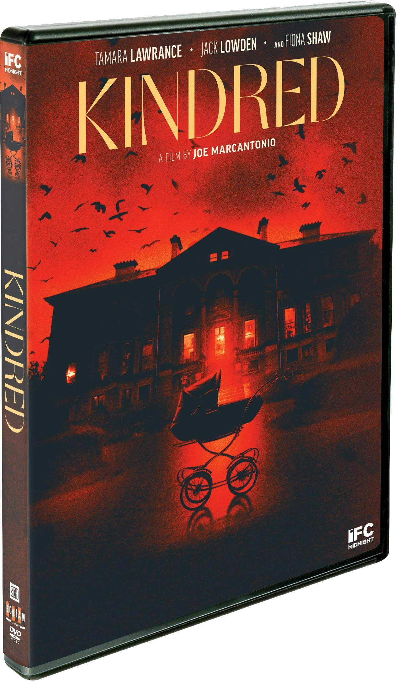 Kindred [DVD] - Image 2