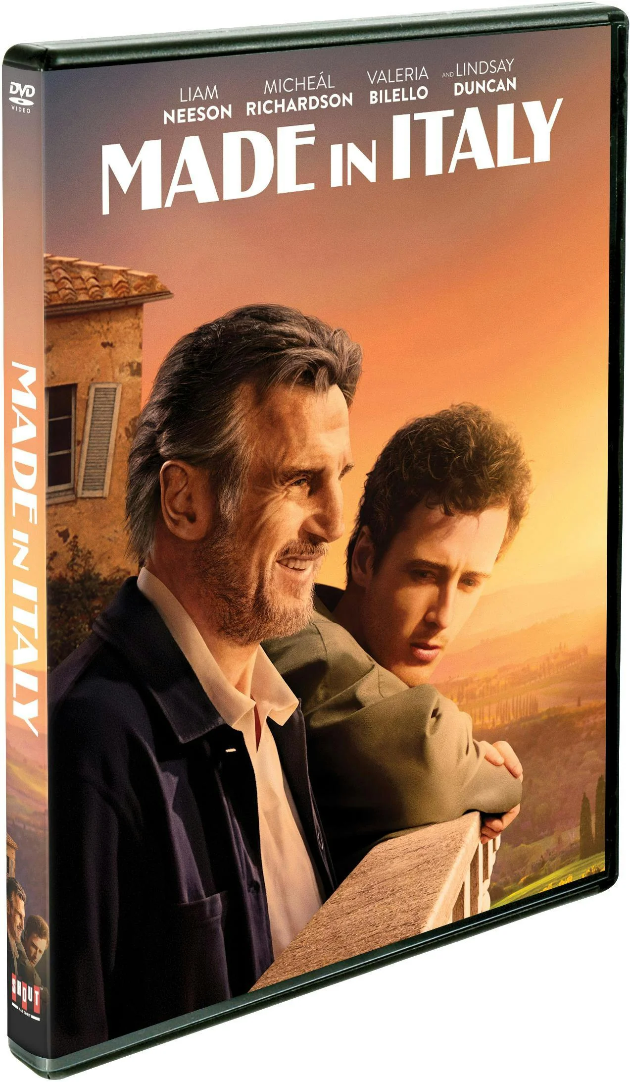 Made in Italy [DVD] - Image 2