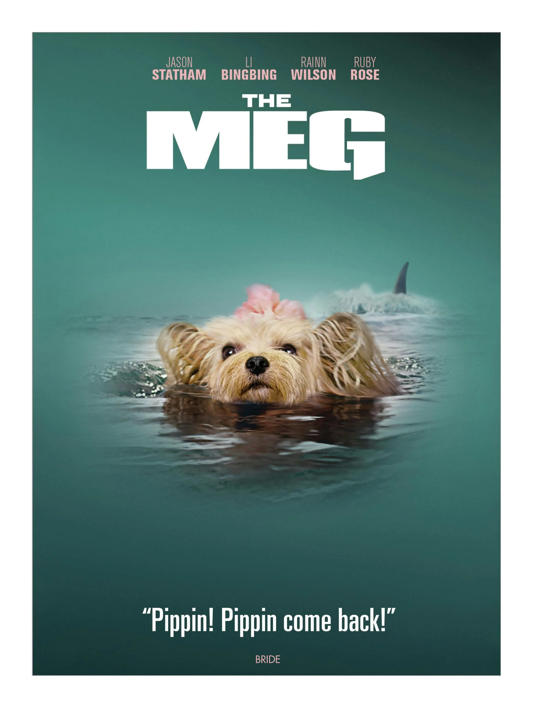 The Meg (IconicMoment Look) [DVD] [DVD]