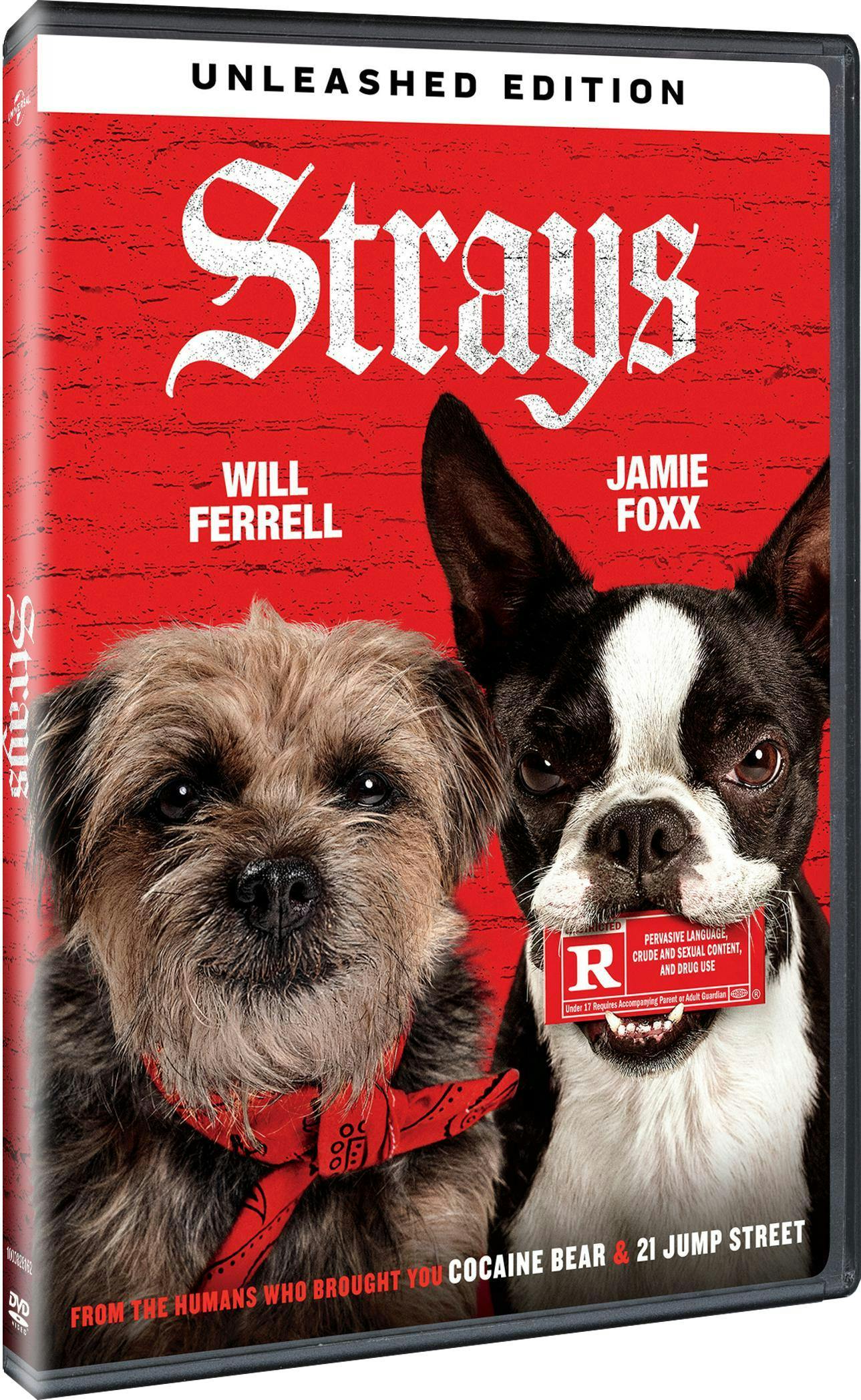 Strays [DVD] - Image 2