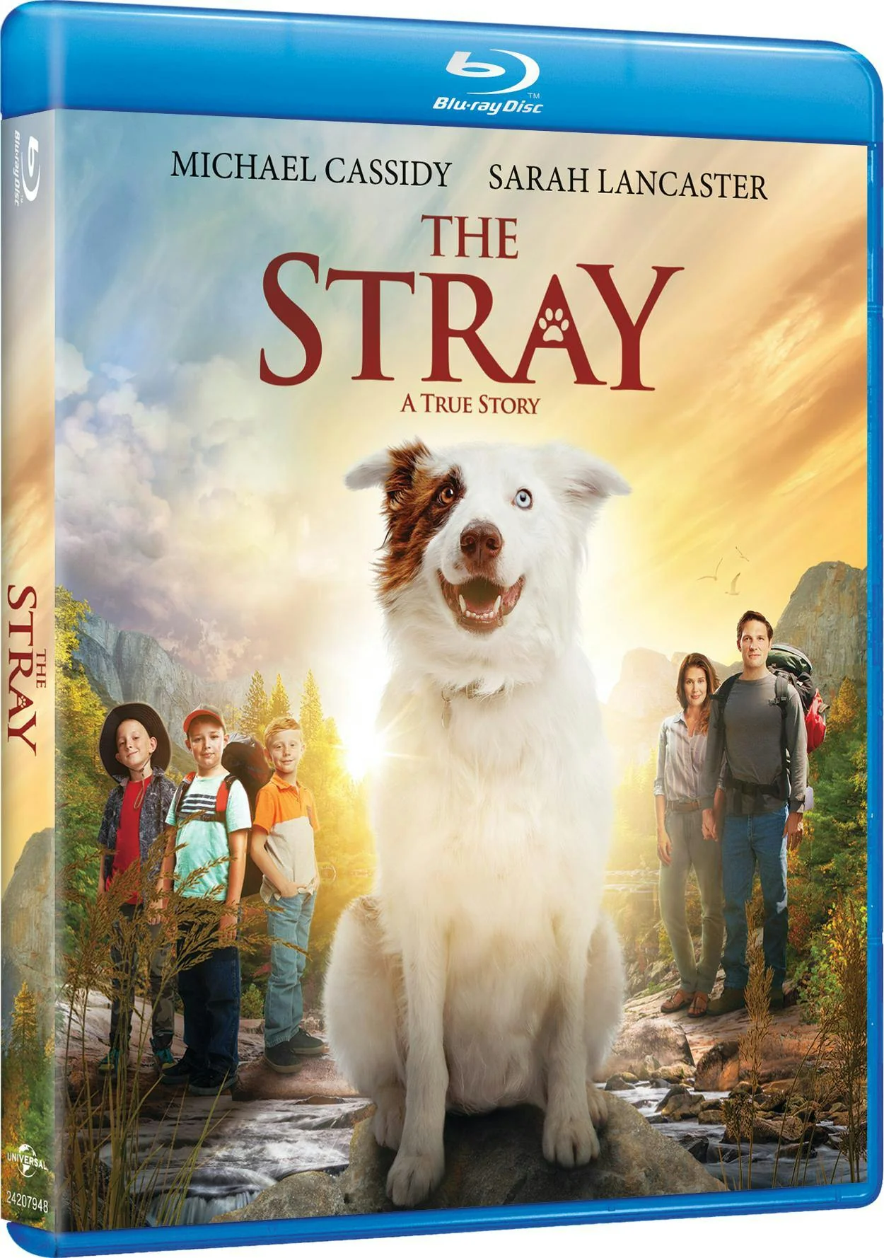 The Stray [Blu-ray] - Image 2
